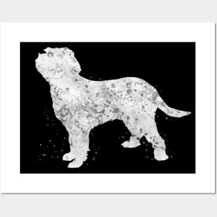 Italian Spinone dog Posters and Art
